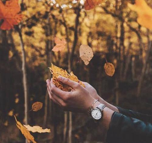 عکس پاییزی برای پروفایل پسرانه