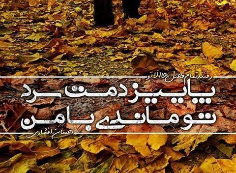 عکس پاییزی برای پروفایل پسرانه