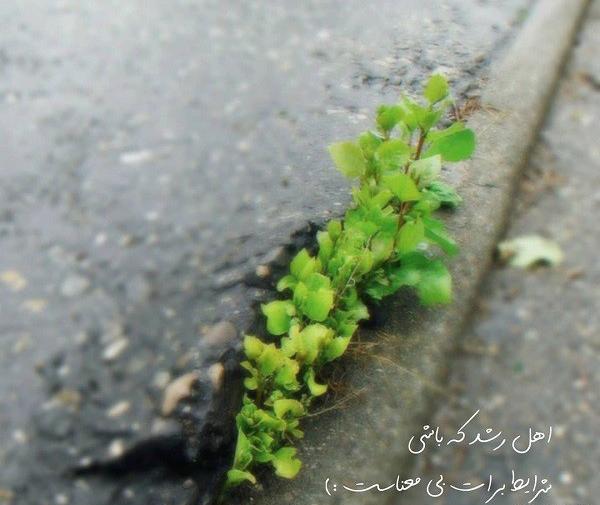 عکس نوشته کوتاه برای پروفایل