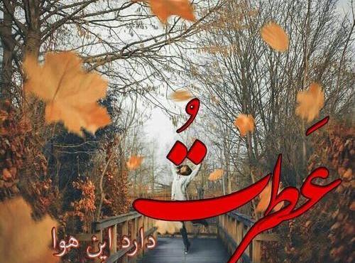 عکس ایده های دلبرانه