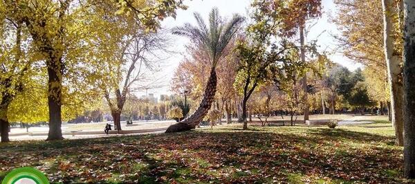 عکس رنگین کمان در شیراز