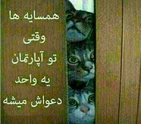 عکس لایک خور بالا