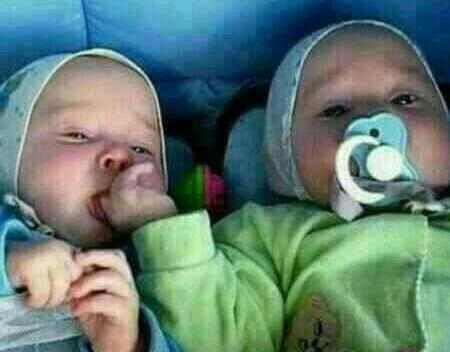 عکس لایک خور بالا