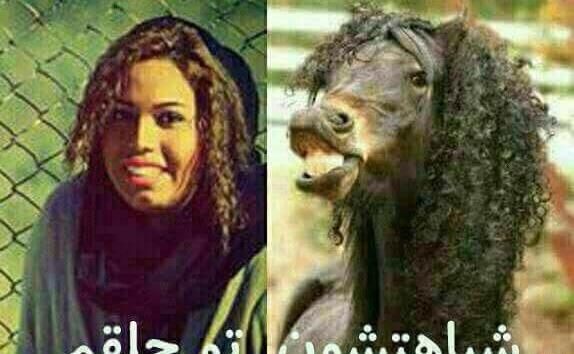 عکس لایک خور بالا