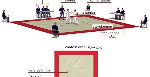 عکس روز جهانی داور کاراته