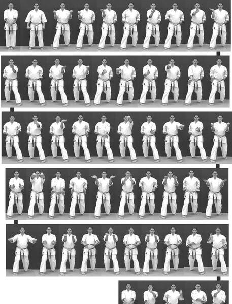 عکس روز جهانی داور کاراته