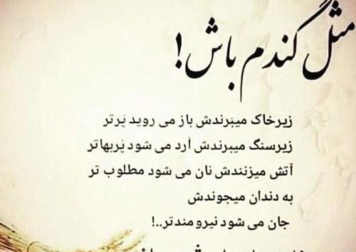 عکس نوشته ذات آدمها