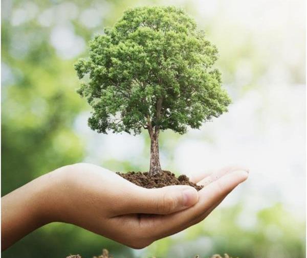 عکس تبریک هفته منابع طبیعی