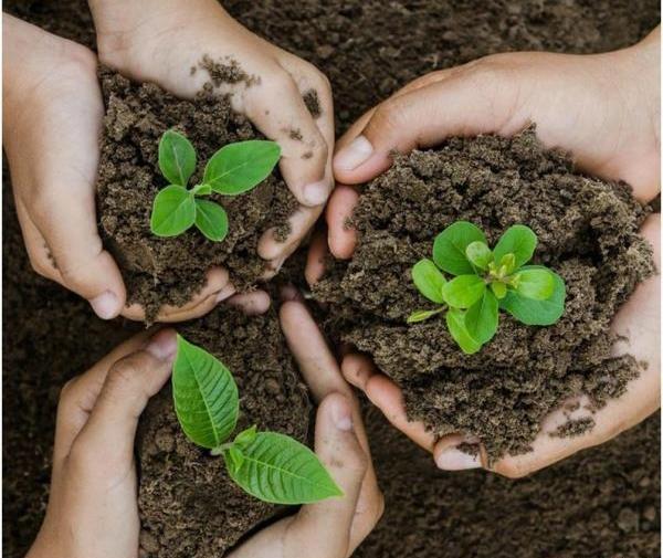 عکس تبریک هفته منابع طبیعی