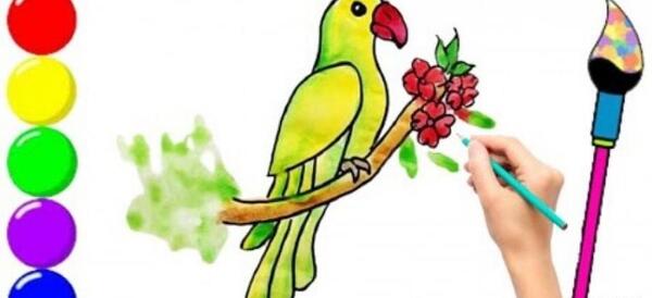 عکس طوطی کودکانه