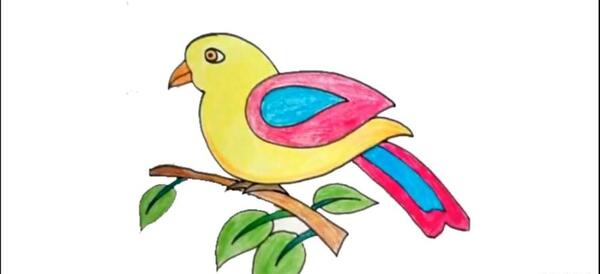 عکس طوطی کودکانه