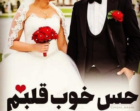 عکس نوشته قلبم یخ زده