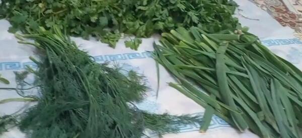 عکس قورمه سبزی تو دیگ