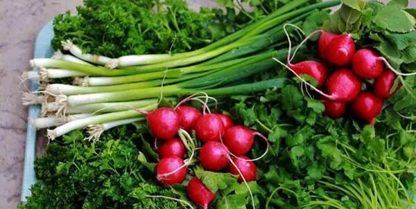 عکس قورمه سبزی تو دیگ