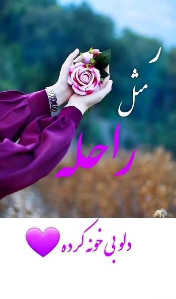 عکس آیدا و امیر