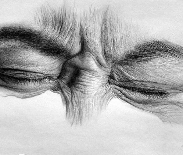 عکس نقاشی های زیبا طراحی