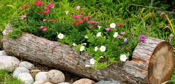 عکس ایده برای باغچه حیاط