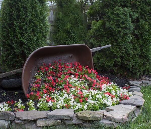 عکس ایده برای باغچه حیاط