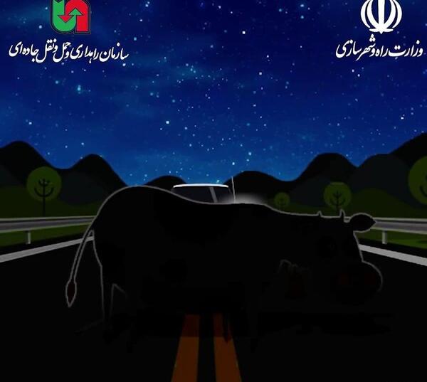 عکس حیوانات ضد نور