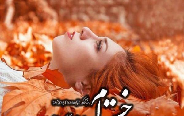 عکس نوشته تیکه دار به فامیل شوهر