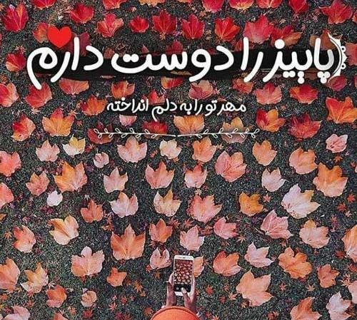 استوری عکس پاییز