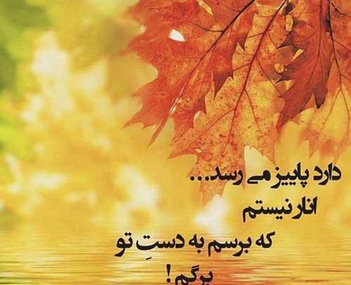 استوری عکس پاییز