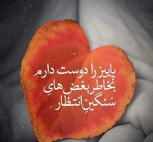 استوری عکس پاییز