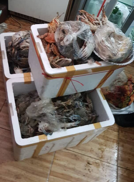 عکس رستوران خرچنگ واقعی