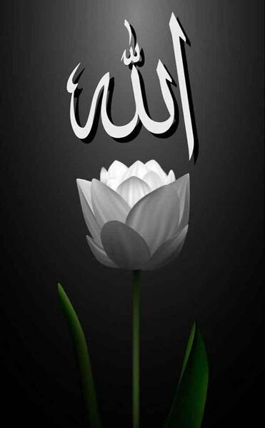 عکس پروفایل الله در قلب