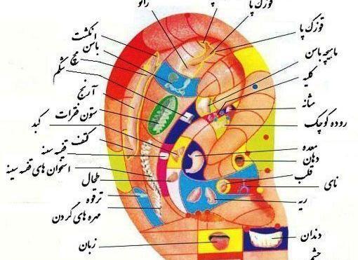 عکس گوشواره لاغری