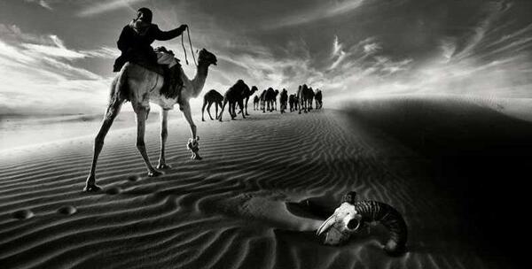 عکس نوشته وحشتناک