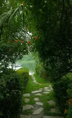 عکس روز جهانی آقایان