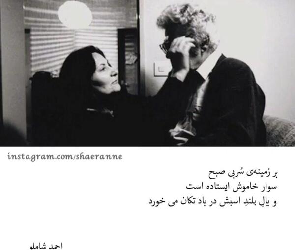 عکس زیبا از احمد مسعود