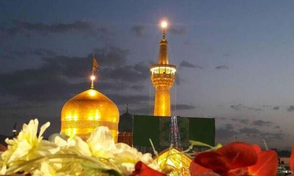 عکس حرم امام رضا کبوتر