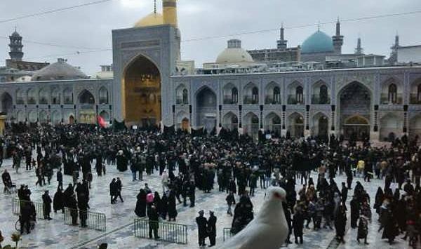 عکس حرم امام رضا کبوتر