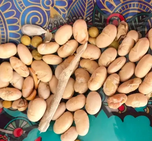 عکس سویا بوداده