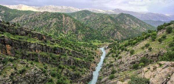 عکس فیلم طبیعت