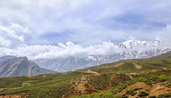 عکس فیلم طبیعت