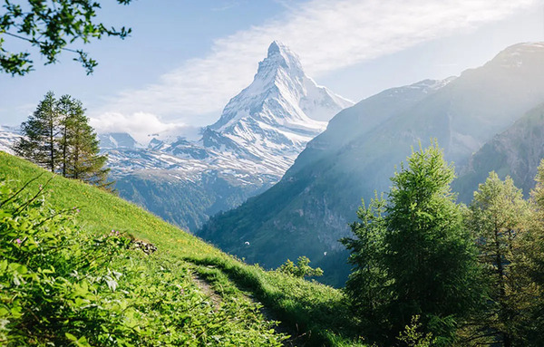 عکس فیلم طبیعت