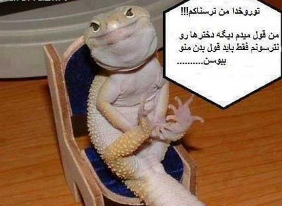 عکس خطای دید طنز