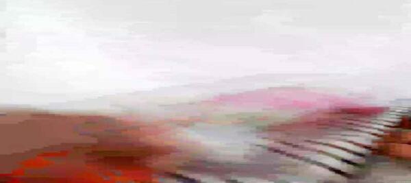عکس باربی ال او ال