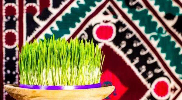 عکس سبزه عید با عروسک