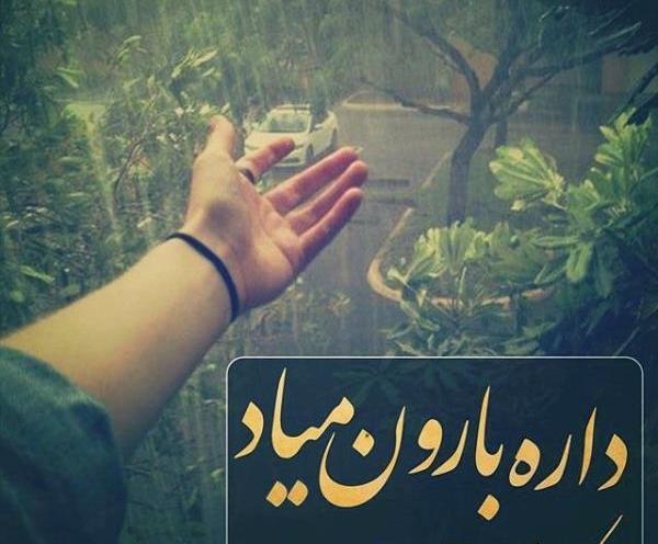 عکس های جدید شبنمی را