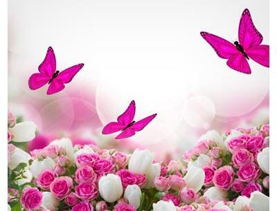عکس زمینه پوستر
