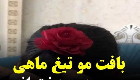 عکس بافت تیغ ماهی جلوی سر