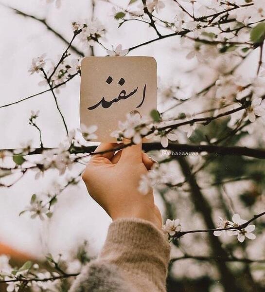 دانلود عکس اسفند ماهی ام