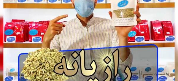 عکس رازیانه گیاه