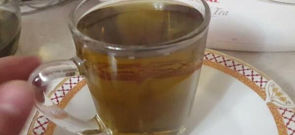 عکس رازیانه گیاه