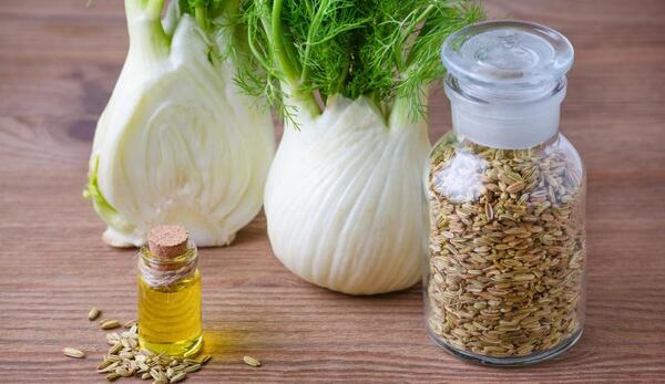 عکس رازیانه گیاه
