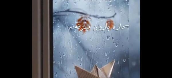 عکس بارانی زیبا جدید